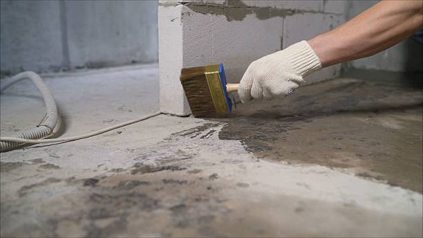 Top rated local Waterproofing specialists in Church Hill, TN